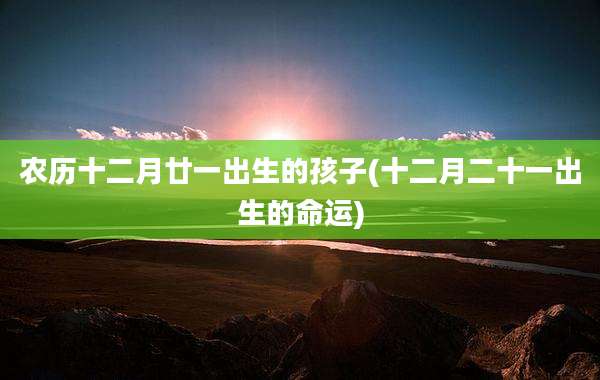 农历十二月廿一出生的孩子(十二月二十一出生的命运)