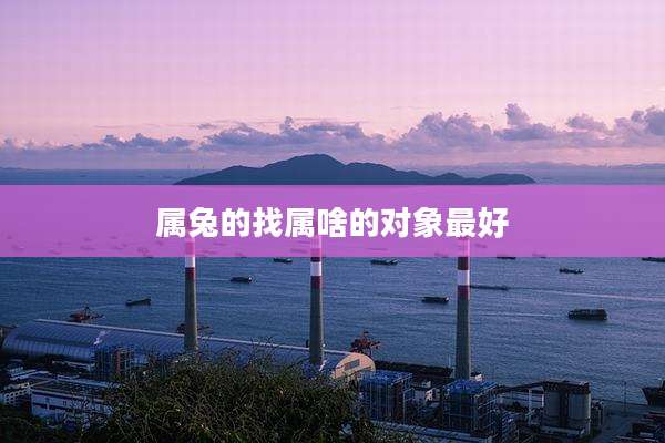 属兔的找属啥的对象最好