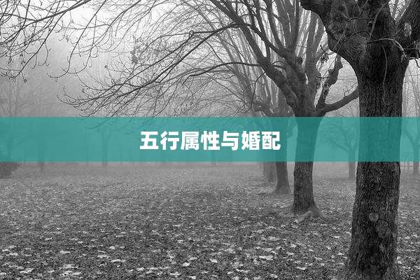 五行属性与婚配