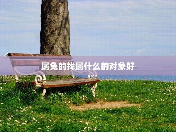 属兔的找属什么的对象好
