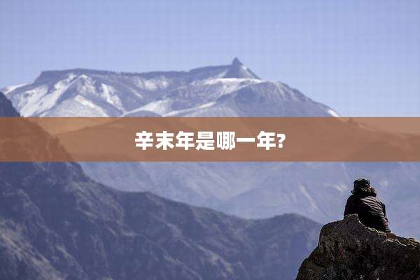 辛末年是哪一年?