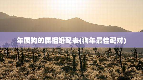 年属狗的属相婚配表(狗年最佳配对)