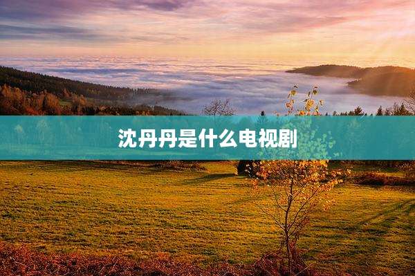 沈丹丹是什么电视剧
