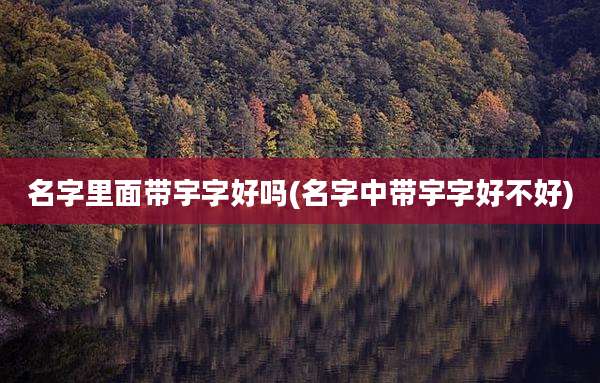 名字里面带宇字好吗(名字中带宇字好不好)
