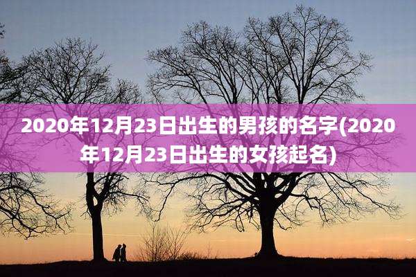 2020年12月23日出生的男孩的名字(2020年12月23日出生的女孩起名)