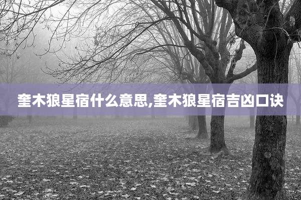 奎木狼星宿什么意思,奎木狼星宿吉凶口诀