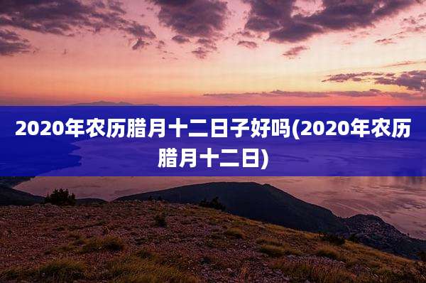 2020年农历腊月十二日子好吗(2020年农历腊月十二日)