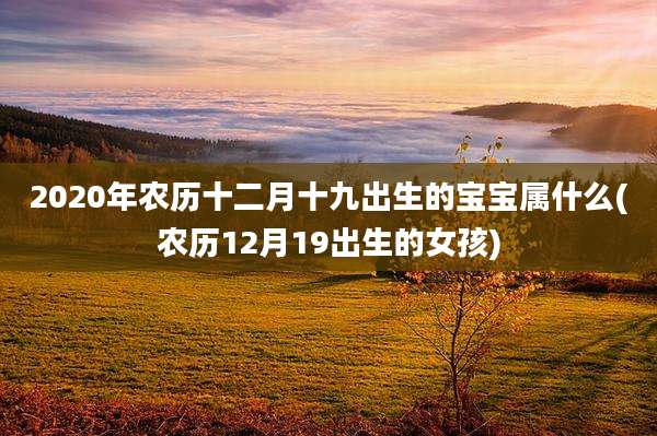 2020年农历十二月十九出生的宝宝属什么(农历12月19出生的女孩)