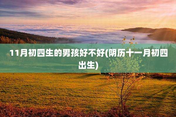 11月初四生的男孩好不好(阴历十一月初四出生)