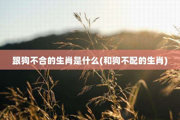跟狗不合的生肖是什么(和狗不配的生肖)