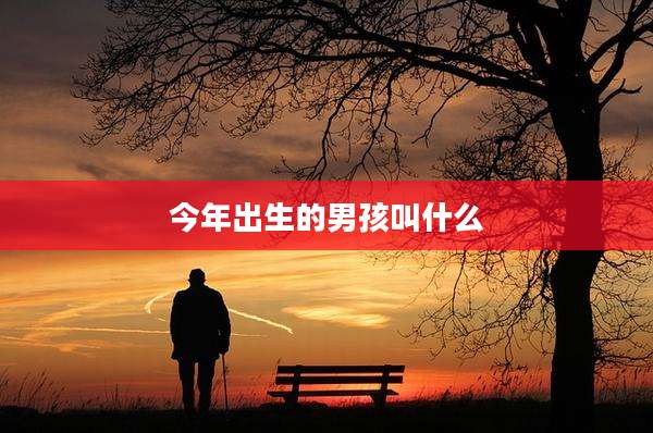 今年出生的男孩叫什么