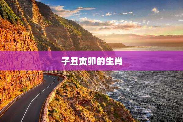 子丑寅卯的生肖