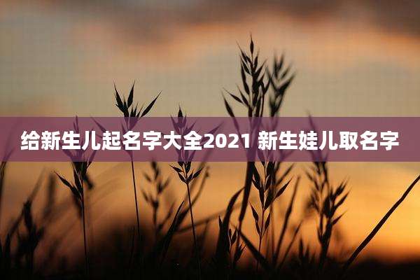给新生儿起名字大全2021 新生娃儿取名字