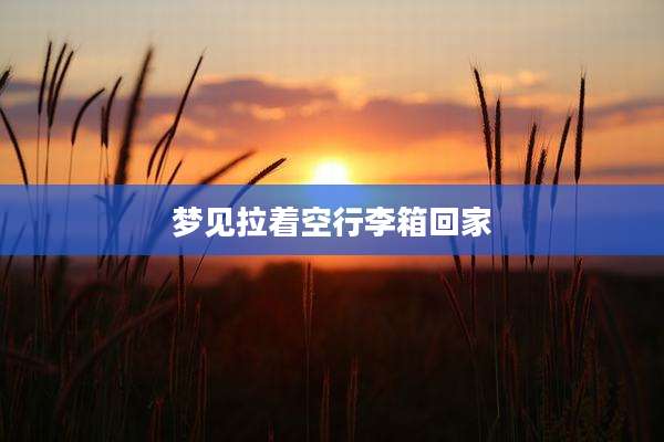 梦见拉着空行李箱回家