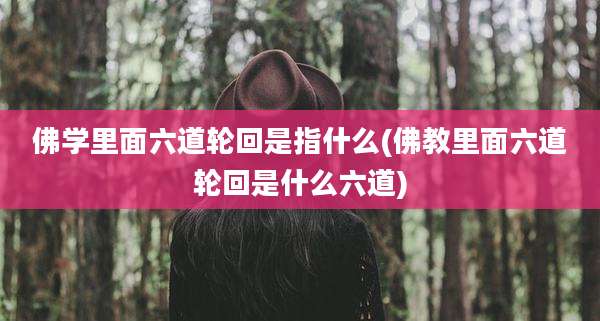 佛学里面六道轮回是指什么(佛教里面六道轮回是什么六道)