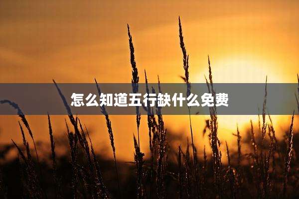 怎么知道五行缺什么免费