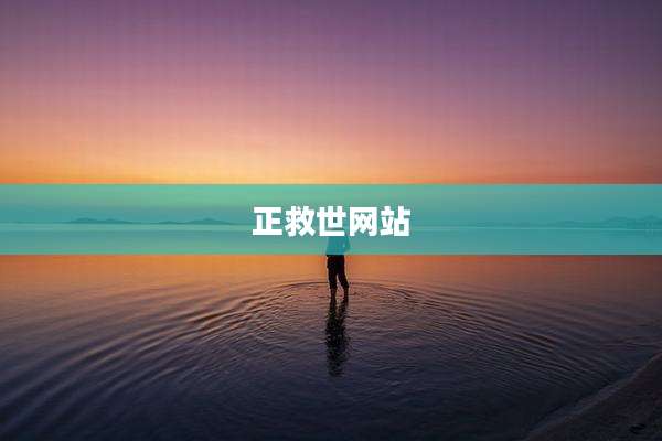 正救世网站
