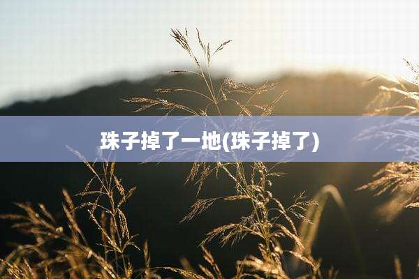 珠子掉了一地(珠子掉了)