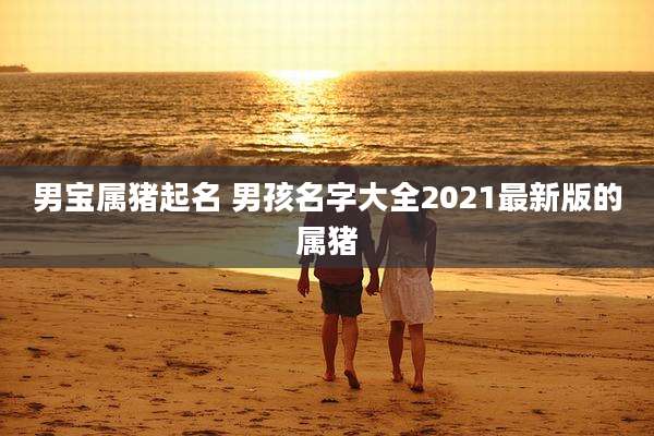 男宝属猪起名 男孩名字大全2021最新版的属猪