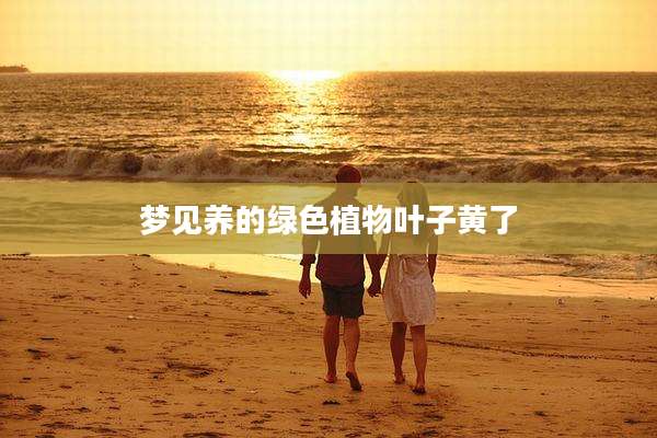 梦见养的绿色植物叶子黄了