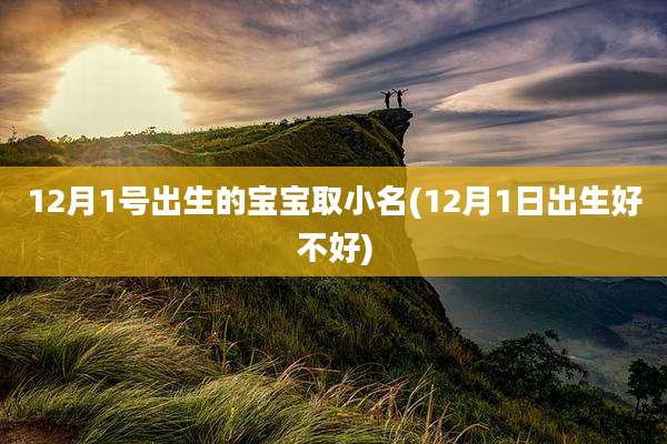 12月1号出生的宝宝取小名(12月1日出生好不好)