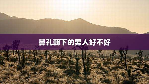 鼻孔朝下的男人好不好