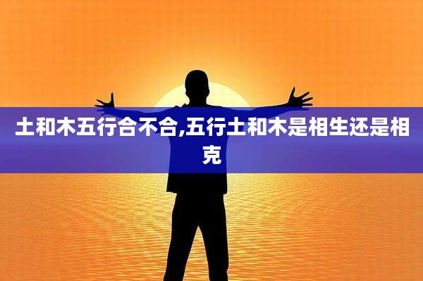 土和木五行合不合,五行土和木是相生还是相克
