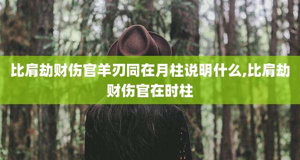 比肩劫财伤官羊刃同在月柱说明什么,比肩劫财伤官在时柱