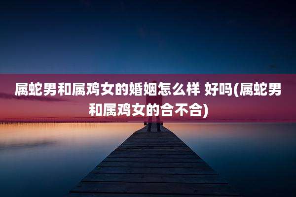 属蛇男和属鸡女的婚姻怎么样 好吗(属蛇男和属鸡女的合不合)