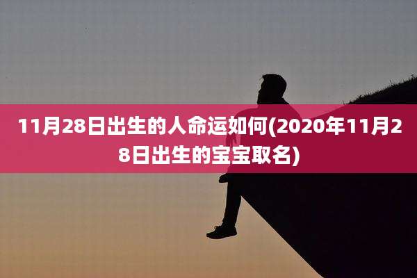 11月28日出生的人命运如何(2020年11月28日出生的宝宝取名)