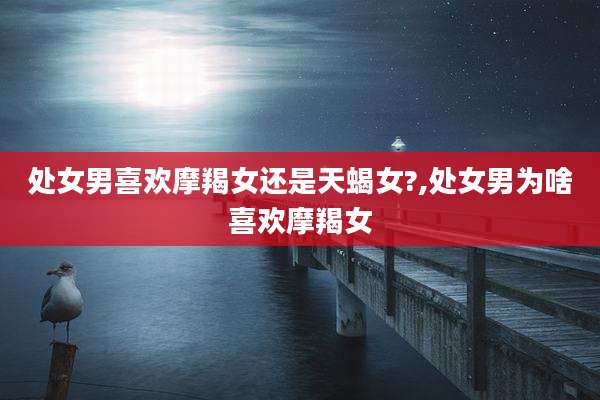 处女男喜欢摩羯女还是天蝎女?,处女男为啥喜欢摩羯女