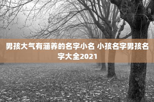 男孩大气有涵养的名字小名 小孩名字男孩名字大全2021