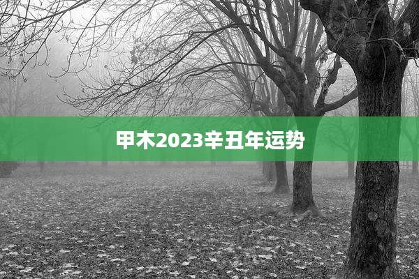 甲木2023辛丑年运势