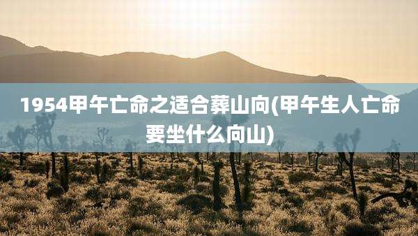 1954甲午亡命之适合葬山向(甲午生人亡命要坐什么向山)