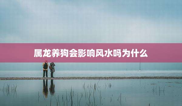 属龙养狗会影响风水吗为什么
