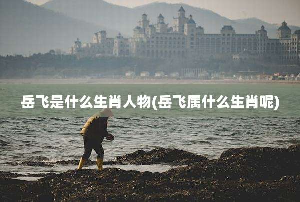 岳飞是什么生肖人物(岳飞属什么生肖呢)