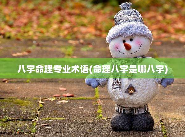 八字命理专业术语(命理八字是哪八字)