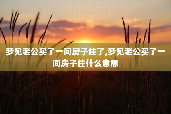 梦见老公买了一间房子住了,梦见老公买了一间房子住什么意思