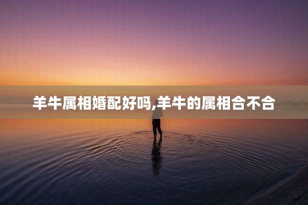 羊牛属相婚配好吗,羊牛的属相合不合