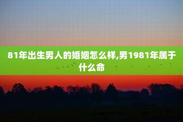81年出生男人的婚姻怎么样,男1981年属于什么命