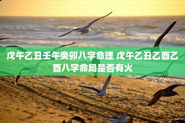 戊午乙丑壬午癸卯八字命理 戊午乙丑乙酉乙酉八字命局是否有火
