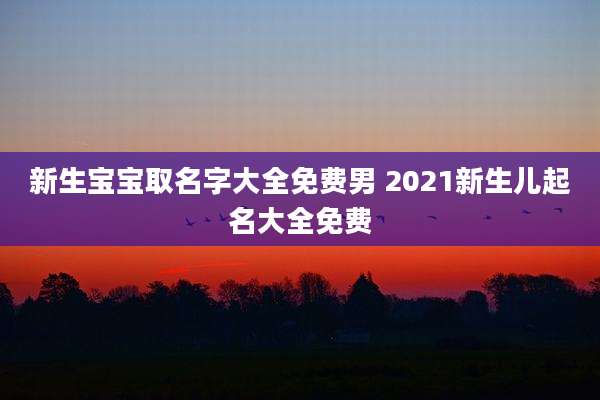 新生宝宝取名字大全免费男 2021新生儿起名大全免费
