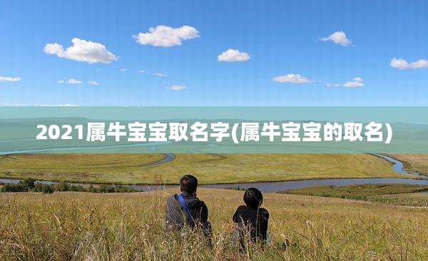 2021属牛宝宝取名字(属牛宝宝的取名)