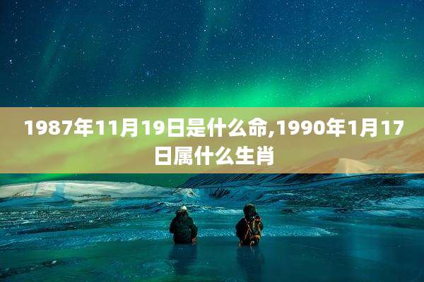1987年11月19日是什么命,1990年1月17日属什么生肖
