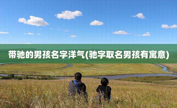 带驰的男孩名字洋气(驰字取名男孩有寓意)