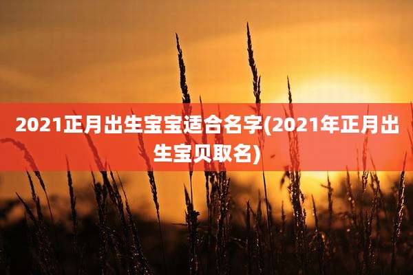 2021正月出生宝宝适合名字(2021年正月出生宝贝取名)