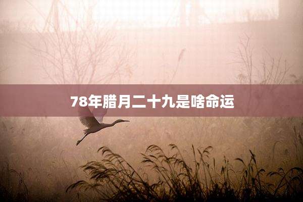 78年腊月二十九是啥命运