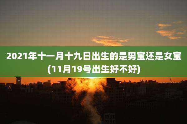 2021年十一月十九日出生的是男宝还是女宝(11月19号出生好不好)