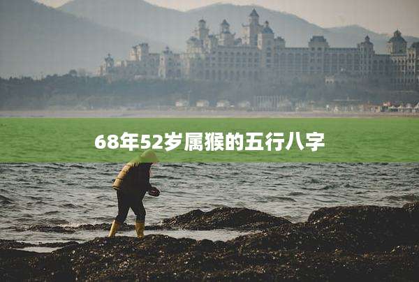 68年52岁属猴的五行八字