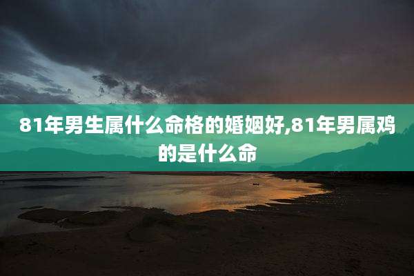 81年男生属什么命格的婚姻好,81年男属鸡的是什么命